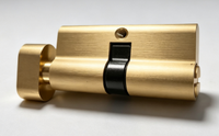 Cylindre de serrure de porte en laiton haute sécurité ANSI Grade 3 de style européen avec 3 clés pour la compatibilité avec les serrures à mortaise