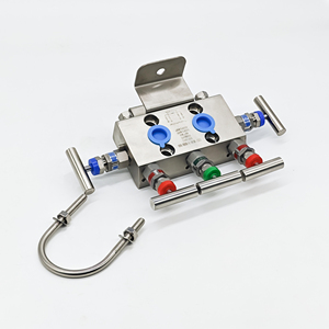 Nouveaux collecteurs C13ST pour pression différentielle, manomètre et pression absolue, 5 collecteurs à 5 vannes, nouveaux pour la pression différentielle - Product Image 2