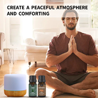 Parfum en marque privée, huile essentielle de qualité supérieure, diffuseur d'aromathérapie, humidificateur, huile florale fraîche, naturelle, 100% pure, écologique