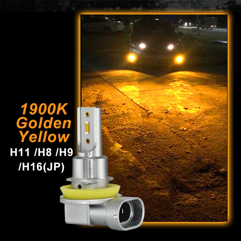 Référence: H11 H8 H16JP 1900K