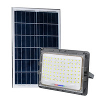 2024 nouveau projecteur projecteur 100w 200w 300w IP65 projet lumière d'inondation solaire LED lumière de jardin solaire LED projecteur de jardin