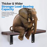 Supports d'étagères en tôle pour extérieur TEBAK, cadres porteurs en acier inoxydable pour étagères murales et pots de fleurs