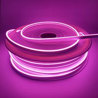 Néon flexible 5m 20m 50m 100m 6*12mm 1cm 2.5cm découpable étanche LED intérieur extérieur décoration néon silicone