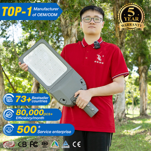 Bãi đậu xe IP66 ngoài trời không thấm nước đường đèn Die-cast nhôm đèn đường 75W 120W 180W 240W kỹ thuật dẫn ánh sáng đường phố - Product Image 1