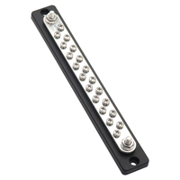 Barre omnibus en cuivre T2 nickelé robuste 150A avec base PA66 pour systèmes CC 12V-48V