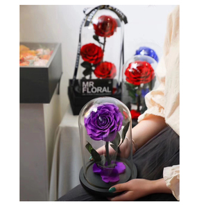 En gros Beauté Bête Enchanté Bella <span class=keywords><strong>Rose</strong></span> préservé <span class=keywords><strong>rose</strong></span> dôme préservé <span class=keywords><strong>rose</strong></span> en verre - Product Image 1