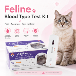Kit de Tipificación Sanguínea Felina de Alta Calidad, Tiras Reactivas Rápidas para la Detección del <span class=keywords><strong>Grupo</strong></span> Sanguíneo de Gatos <span class=keywords><strong>A</strong></span>/B/AB - Product Image 1