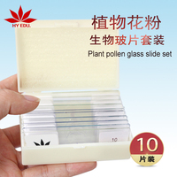 Professional Hot Sale Plant pollen set biological slides for science education