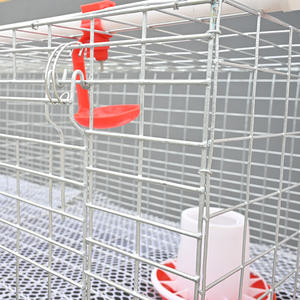 Tavuklar için Yeni H-Tipi Broiler Kafes Sistemi Manuel El Kranklı Gübre Temizleme Sıcak Daldırma Galvanizli Çelik Yüksek 5000-50000 - Product Image 3