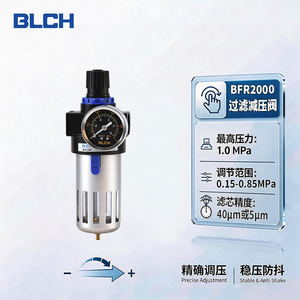 Régulateur de pression de filtre à air Blch Bfr 2000 avec manomètre et séparateur d'eau et d'huile pour systèmes pneumatiques - Product Image 3