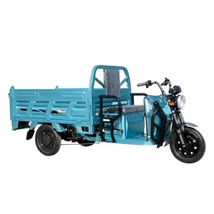 Cheap E-Trikes 3 Wheel Cargo Electric Tricycles Motorcycle 3 Wheel Adult