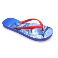 Requin de mode flip flops