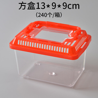Boîte de transport portable pour animaux de compagnie, aquarium rond en plastique, petit bassin de voyage pour tortues, bacs en plastique pour animaux