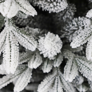 Arbre de Noël pré-éclairé double Led avec ornements de Noël enneigés floqués de luxe en plastique arbres de Noël blancs artificiels - Product Image 3