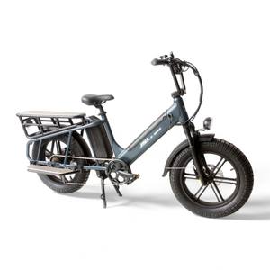 Vélo <span class=keywords><strong>cargo</strong></span> électrique spécialisé avec assistance au pédalage et roues de 20 pouces avec boîte de chargement - Product Image 2