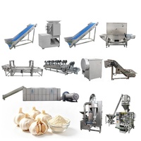 Ligne de production professionnelle de poudre d'oignon et d'ail, machine à poudre d'oignon et d'ail, best-sellers