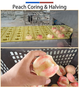QH-T Green Jujube Apple Peach Pitting and Splitting <b>Machine</b> 9000pcs/h Food Grade <b>Stone</b> Fruit Coring <b>Cutting</b> <b>Machine</b> - Product Image 4