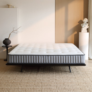 Nhà Máy Giá Vua Kích Thước Túi Mùa Xuân Nệm Biểu Tượng Tùy Chỉnh Bonnell Cuộn Dây Hệ Thống Hypo-Dị ứng Nệm Welcom Đặt Hàng Số Lượng Lớn - Product Image 1