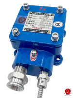 Sonde RTD double Pt100 pour zones dangereuses 2BWZD Ex Db IIC, boîtier de jonction antidéflagrant en aluminium ou en acier inoxydable, optionnel OEM/ODM IP66