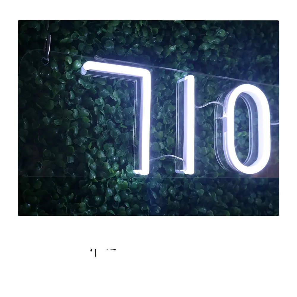 710 lab néon extérieur LED néon Look signe en acrylique lettres signe