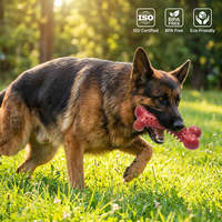 Jouets à mâcher pour chiens de grande taille, personnalisés, écologiques, durables, en caoutchouc, de couleur mélangée, non toxiques, résistants aux morsures, créatifs, interactifs pour animaux de compagnie