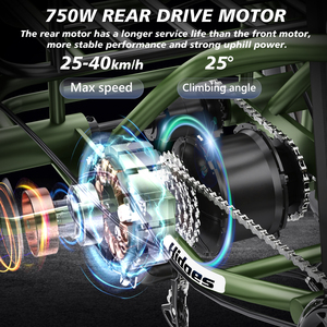 VIPCOO Hidoes ET1 750W Chine Tricycle électrique à 3 roues pour adultes pas cher Cargo - Product Image 6