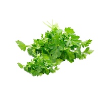 Certificat Casher Halal : Poudre de Herbe d'Orge Pure, Poudre de Jus d'Herbe d'Orge, Capsules d'Herbe d'Orge