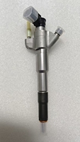 Injecteur de carburant pour moteur diesel 166009567R, injecteur de carburant à rampe commune