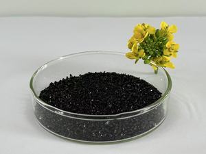 Chậm phát hành phân bón hữu cơ kali humate Humic axit bột độ tinh khiết 85% - Product Image 2