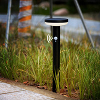 Capteur de mouvement solaire décoratif en acier inoxydable ip44, lampes de jardin pour pelouse, patio, cour, allée