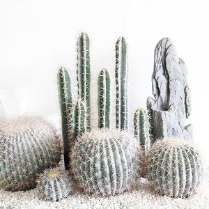 Mur végétal artificiel émotionnel, plantes décoratives d'aspect naturel, étiquette personnalisée, grande plante artificielle de cactus pour chambre à coucher - Product Image 3