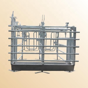 Jaulas para Animales Galvanizadas por Inmersión en Caliente con Diseño de Puerta Trasera para Granjas Porcinas, Jaulas de Gestación, Garantía de Calidad - Product Image 3