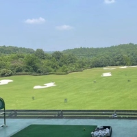 Tapis de gazon artificiel de pelouse synthétique de haute qualité populaire gazon de golf sur mesure