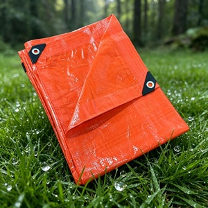 Bâches imperméables en PE avec revêtement PVC, maille transparente, résistantes aux déchirures, pour garçons et filles, utilisation en extérieur - Product Image 1
