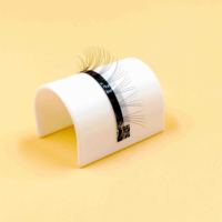 Extensions de cils Dragon Lash noir mat volume 3D-5D, faits main, en faux vison premium, base fine préfabriquée, courbures CC DD pour DIY
