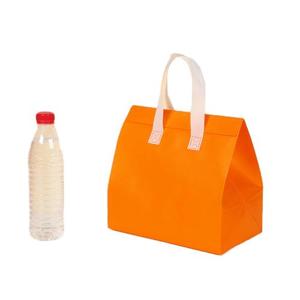 Hot Sale Disposable Cool Thermal Bag Large Cooler Bag Folding Non Woven Cooler Bag - Product Image 2