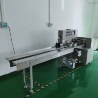 Machine d'emballage multifonctionnelle de légumes frais, de carottes, de concombres et de légumes frais Machine d'emballage d'oreillers horizontale entièrement automatique