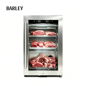 Refrigerador de carne mini UV de acero inoxidable con compresor, enfriamiento por aire, sin escarcha, para carne seca y madurada, para hoteles y hogares - Product Image 1