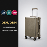Valise de luxe classique haut de gamme en aluminium rigide avec motif de fleurs de glace, serrure TSA, roues pivotantes à 360 degrés