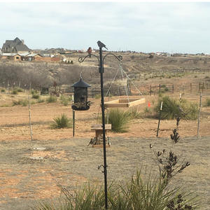 Comedero para pájaros metálico TJ-015 de 1.9 m con inserción al suelo para pájaros pequeños, duradero, para patio exterior, diseño redondo. - Product Image 4