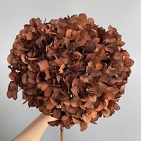 Bunga Abadi Warna Musim Gugur Hydrangea Yunnan Daun Besar Awetan Batang Tunggal untuk Dekorasi Pernikahan