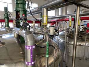 Polvere di Destrina Resistente a Base di Manioca, ad Alta Solubilità, Basso Contenuto Calorico, Basso IG, Senza Zucchero, per Uso Alimentare, Ricca di Fibre Alimentari, pH 4-6 - Product Image 5