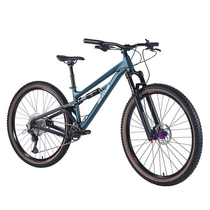 Affordable Full Suspension Mountain Bike 12 Speed MTB - OEM