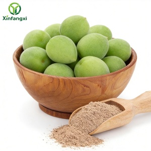 Polvo de Prunus Mume, Sazonador Indonés Auténtico Agridulce para Barbacoa, Frutas y Bebidas, Polvo Li Hing Mui, <span class=keywords><strong>Asam</strong></span> Boi, Serbuk <span class=keywords><strong>Asam</strong></span> - Product Image 1