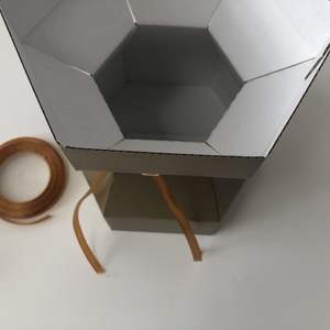 New Item Living Vase Flower <strong>Bouquet</strong> <strong>Box</strong> Transporter Vase <strong>Sweet</strong> Tree <strong>Box</strong> Various Colours - Product Image 5