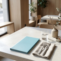 Porte-menu en cuir PU personnalisé, couverture de menu de restaurant, dossier de menu, couleur turquoise, pour hôtel, bar, café, logo, vente en gros, OEM, en vrac