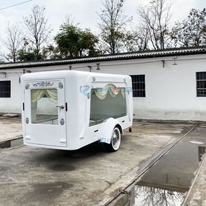 Factory Customized Vintage White Coffin Carriage Horse Wagon Antique Electric Buggy Electric Funeral Horse Hearse - Product Image 6