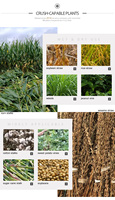 Broyeur de fourrage multifonction, déchiqueteur et pulpeur, broyeur d'herbe sèche et humide avec garantie d'un an pour la transformation des aliments du bétail