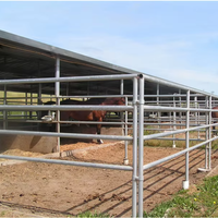 Barrière mobile agricole robuste Corey en promotion – Portillon galvanisé pour chevaux et moutons, idéal pour les fermes (marché australien)