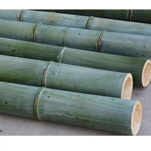Bastones de <span class=keywords><strong>bambú</strong></span> naturales, gran materia natural, verde, venta al por mayor - Product Image 6